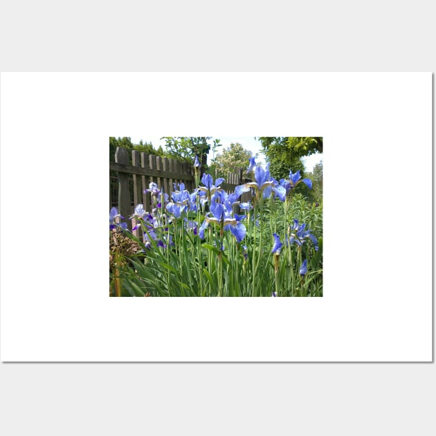 Iris at the garden fence Wall Art by Gourmetkater